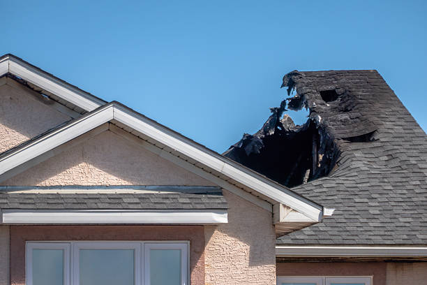 Top rated local Odor Removal specialists in Stevenson, MD